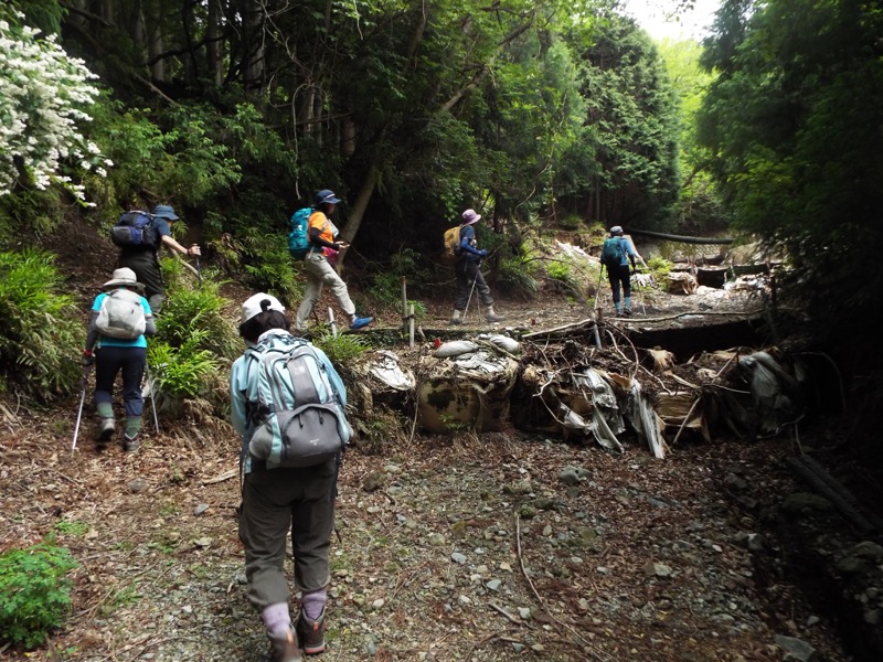 大野山登山