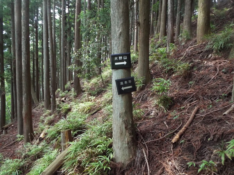 大野山登山