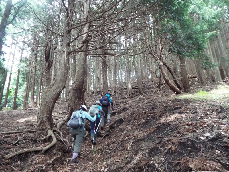 大野山登山