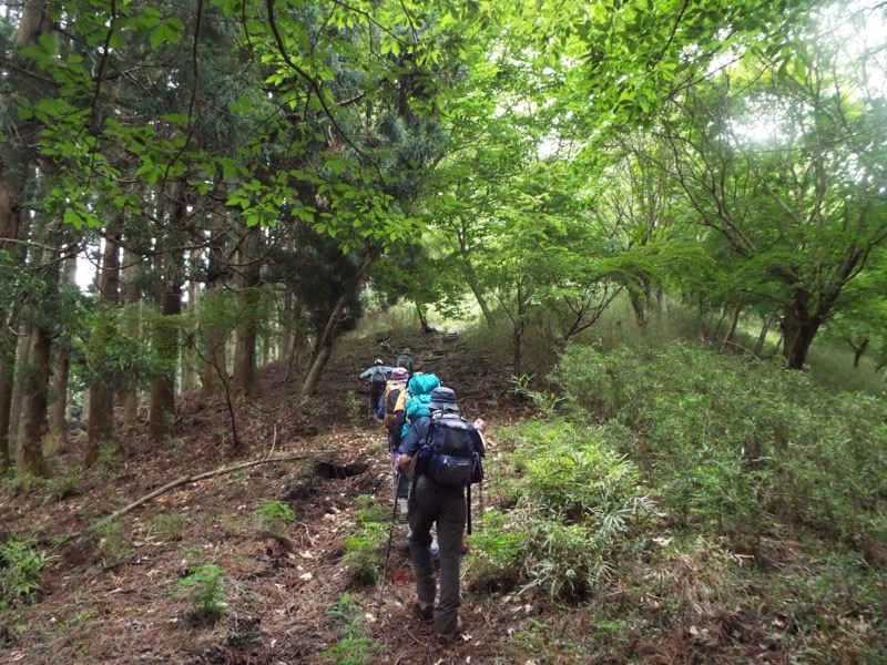 大野山登山