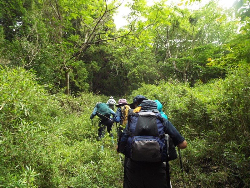 大野山登山