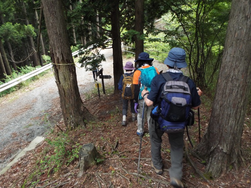 大野山登山