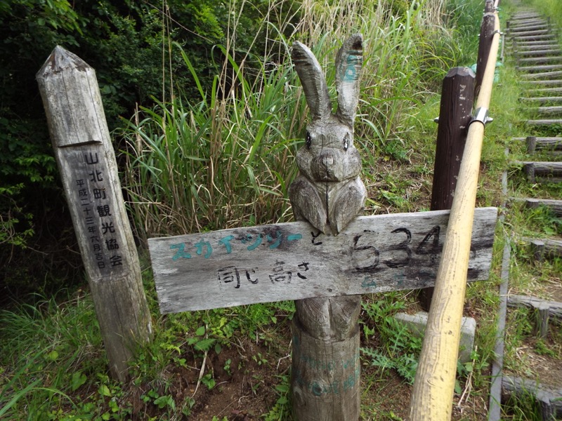 大野山登山、「634m」標識