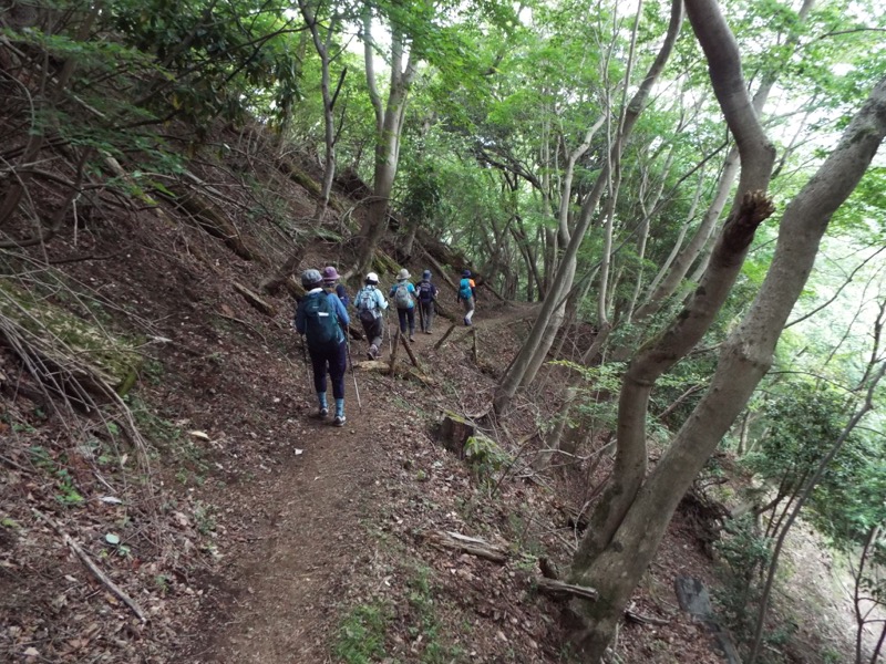 大野山登山