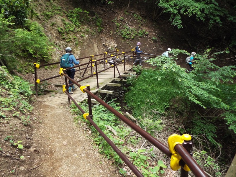 大野山登山