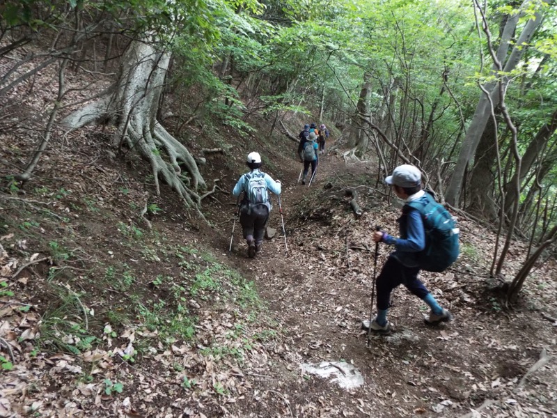 大野山登山