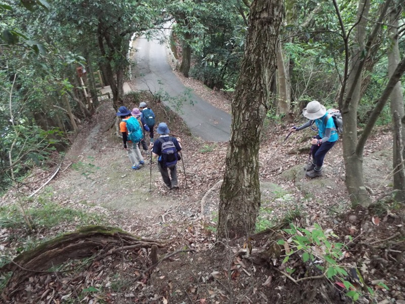 大野山登山