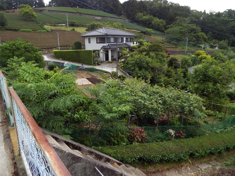 大野山登山