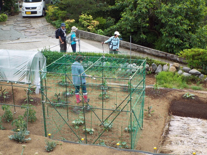 大野山登山