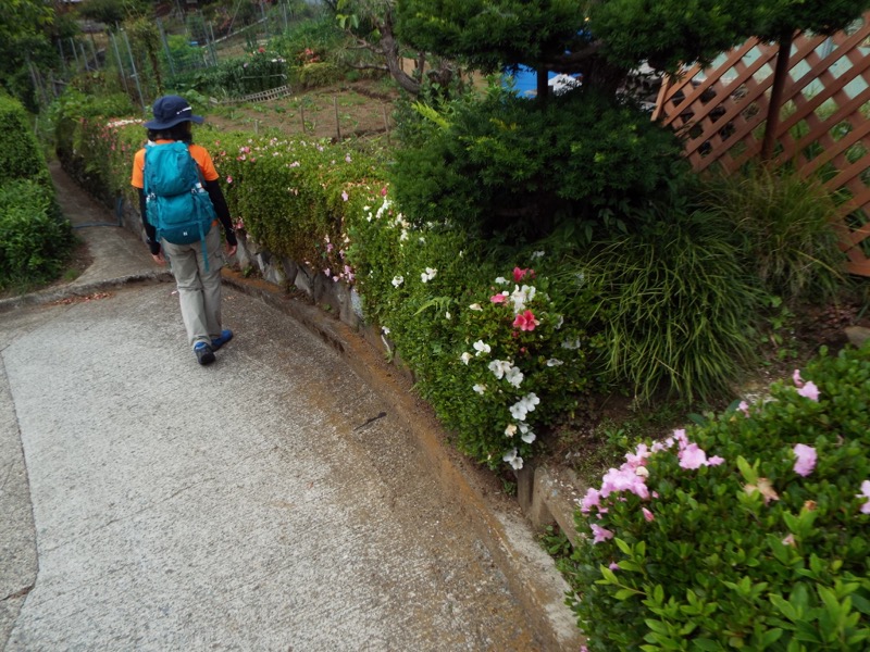 大野山登山