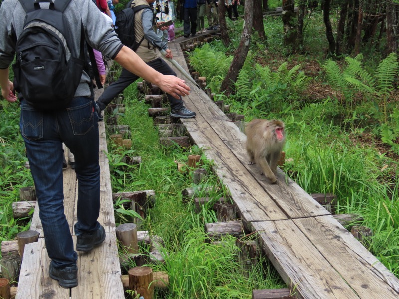 上高地、明神、徳本峠