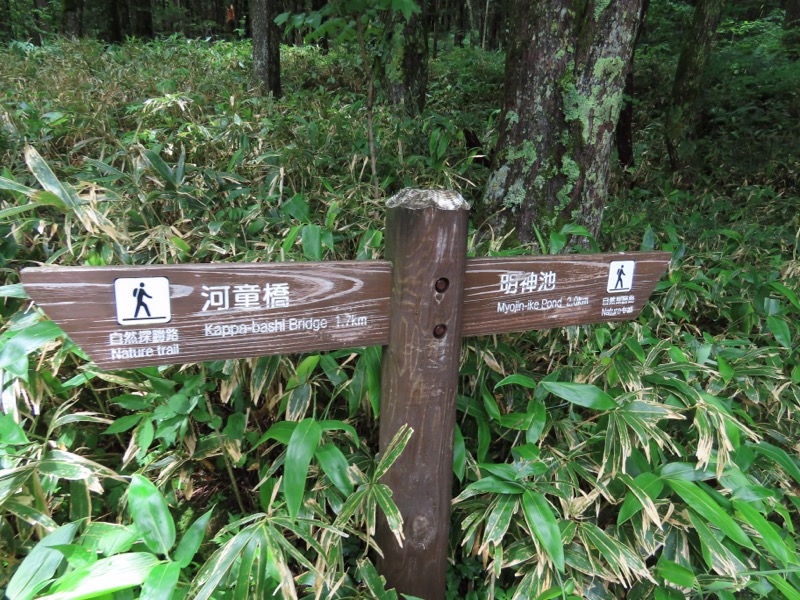 上高地、明神、徳本峠