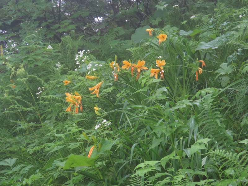 霞沢岳、上高地、明神