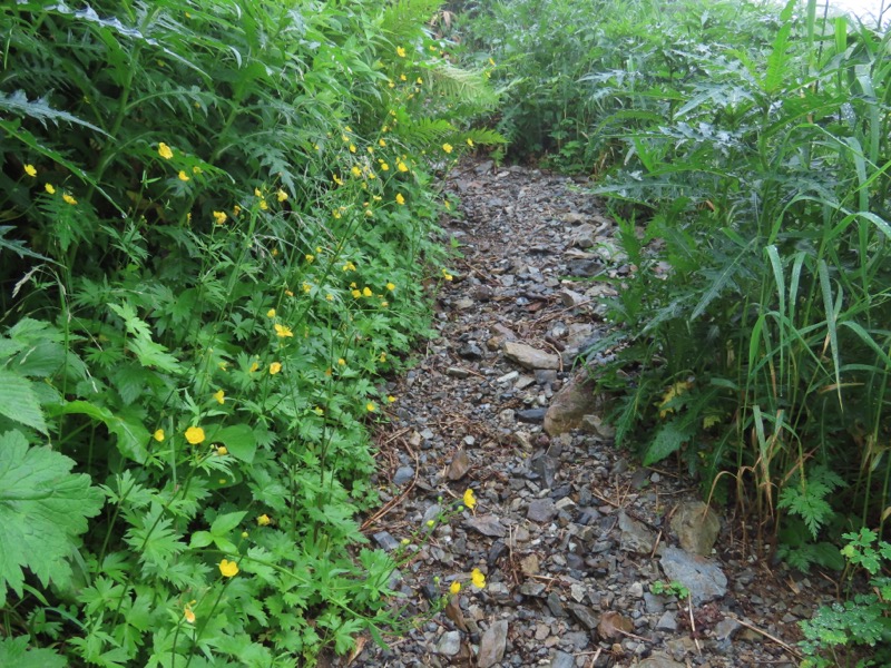 霞沢岳、上高地、明神