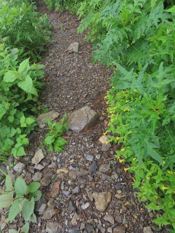 霞沢岳、上高地、明神