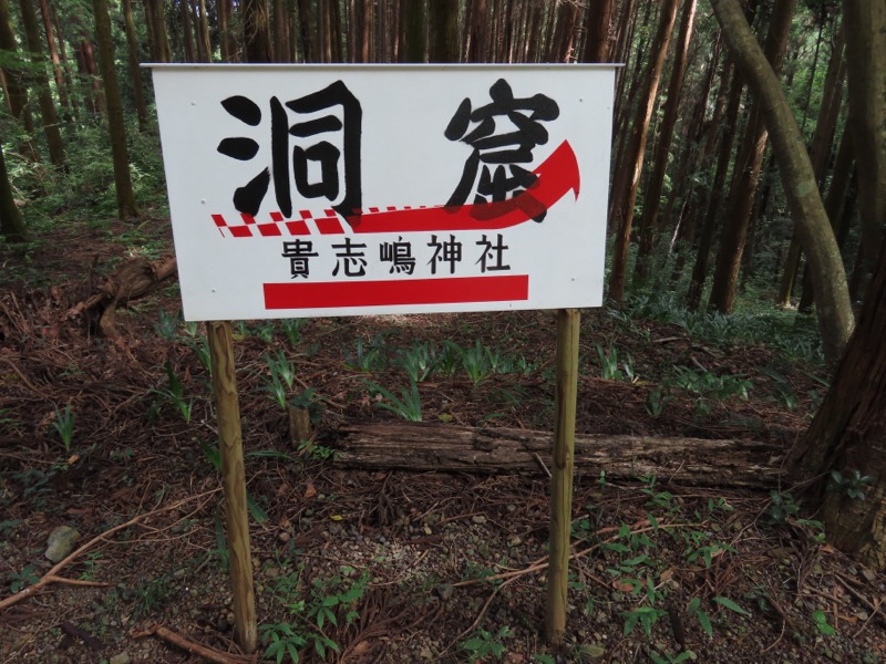 網代城山