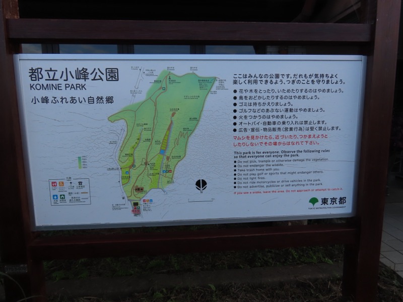 網代城山