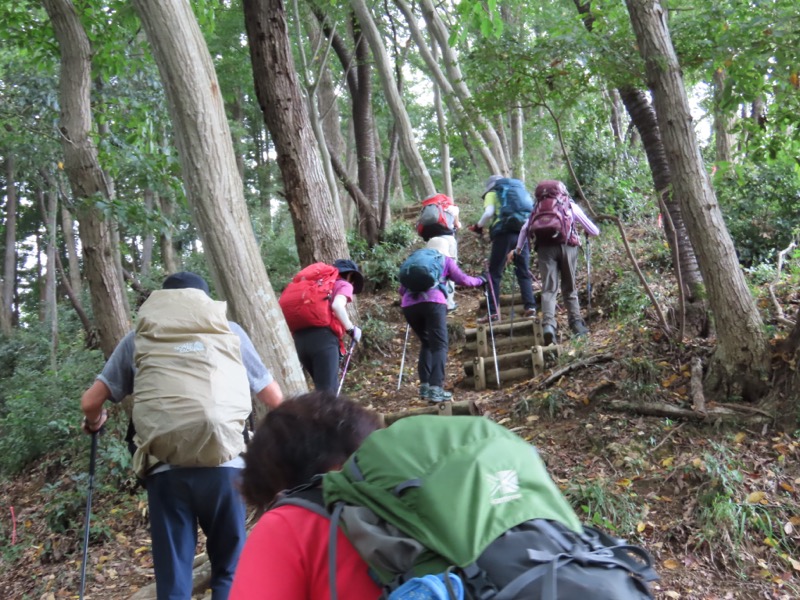 網代城山