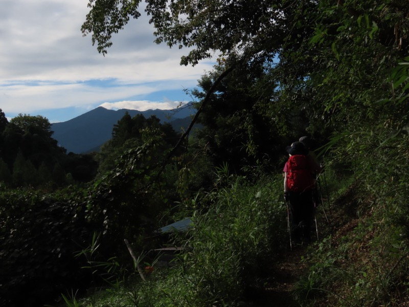 網代城山