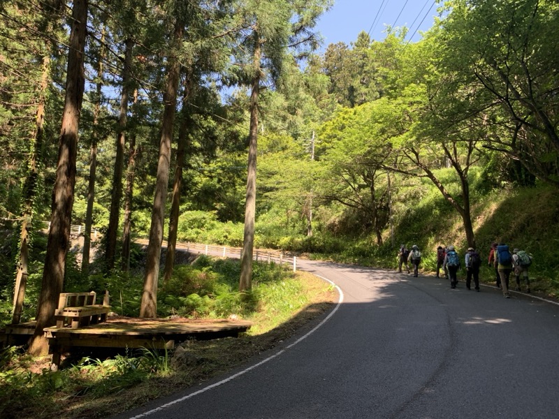 堂平山、ときがわトレッキング