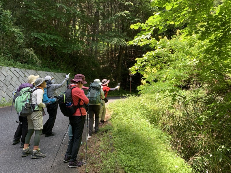 堂平山、ときがわトレッキング