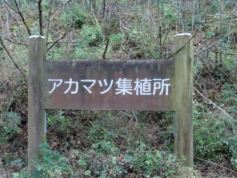 矢倉岳