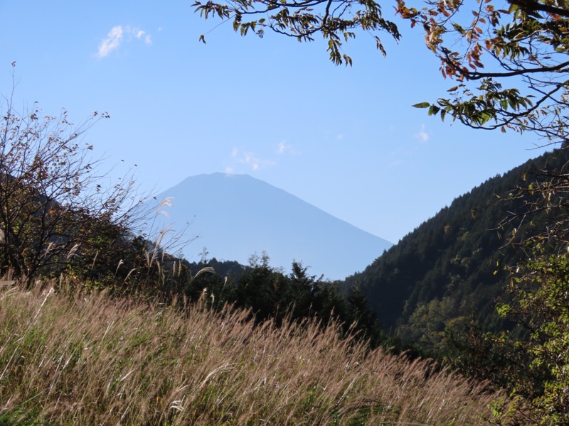 矢倉岳