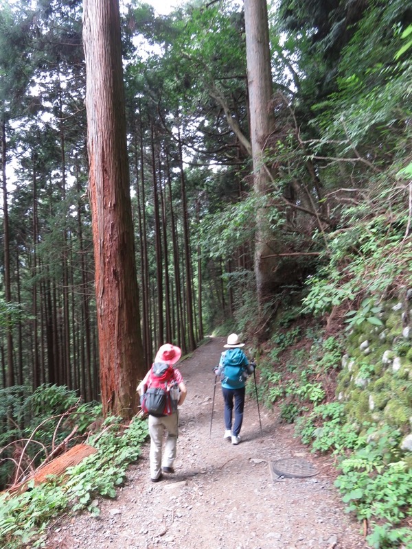 御岳山〜大岳山〜鋸山登山