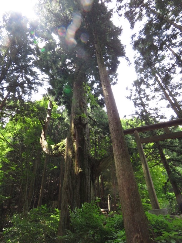 御岳山〜大岳山〜鋸山登山