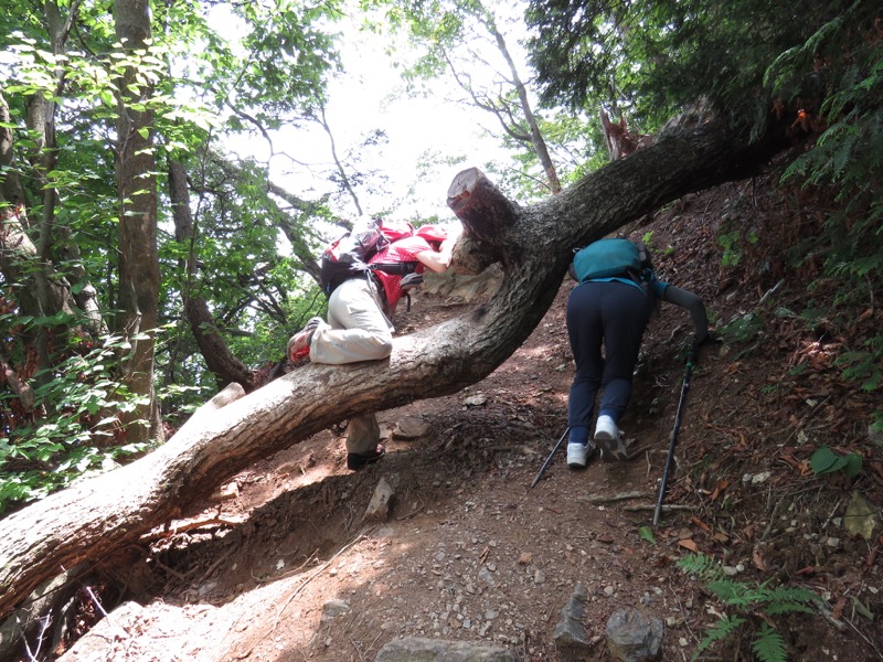 御岳山〜大岳山〜鋸山登山