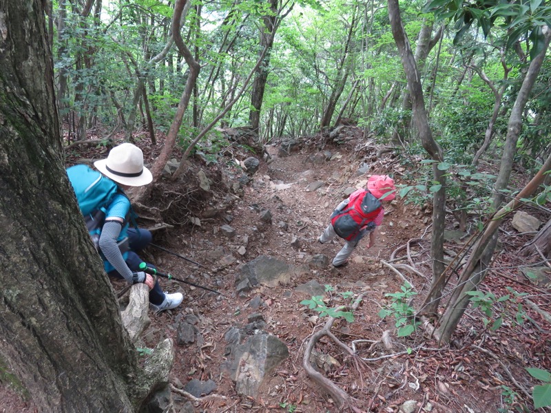 御岳山〜大岳山〜鋸山登山