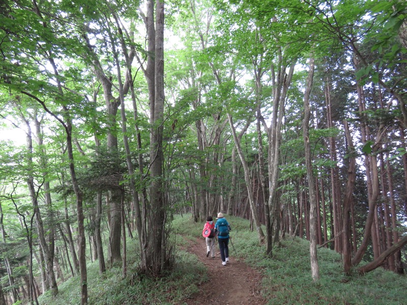 御岳山〜大岳山〜鋸山登山