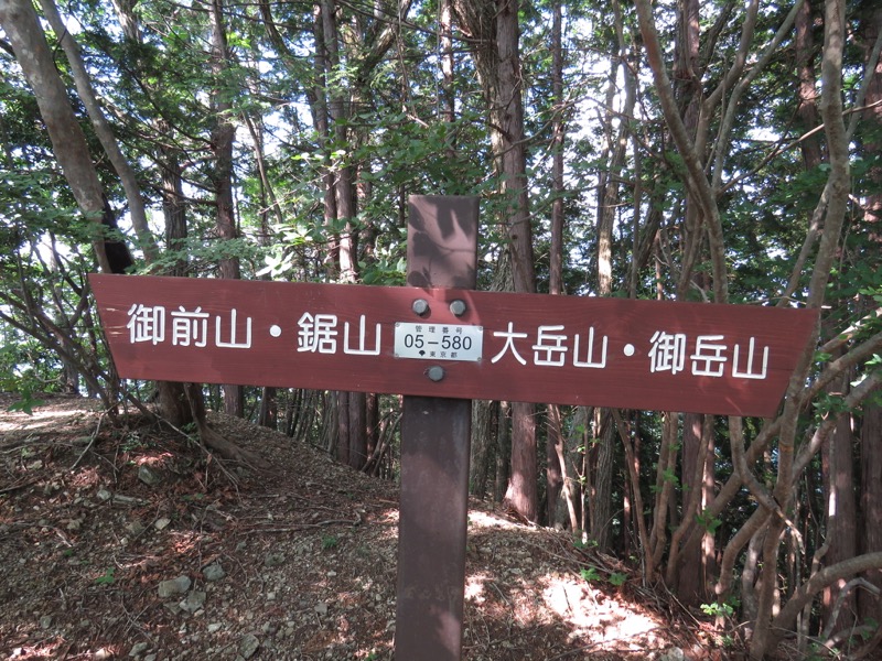 御岳山〜大岳山〜鋸山登山