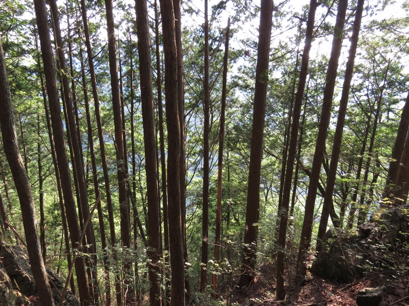 御岳山〜大岳山〜鋸山登山