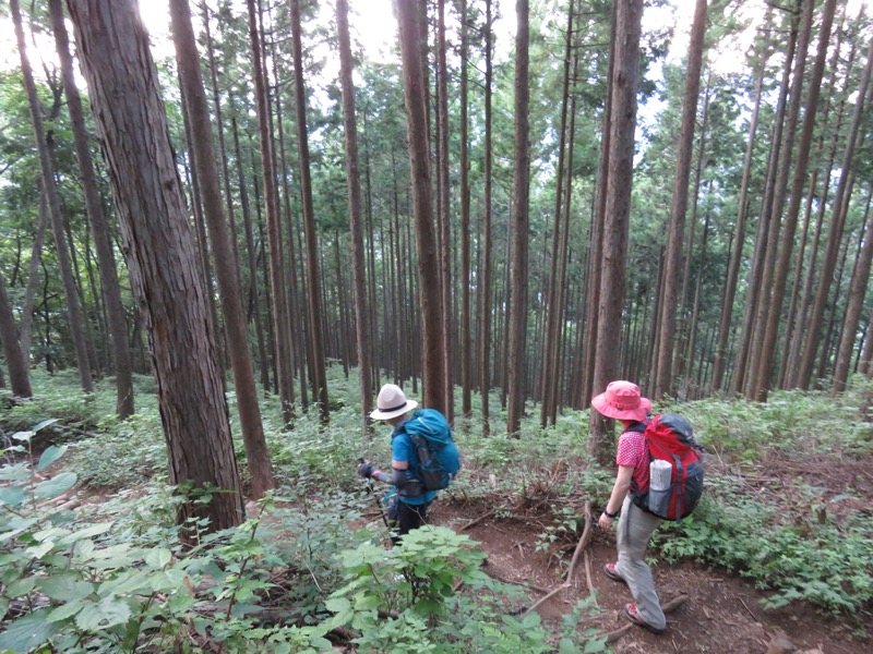 御岳山〜大岳山〜鋸山登山