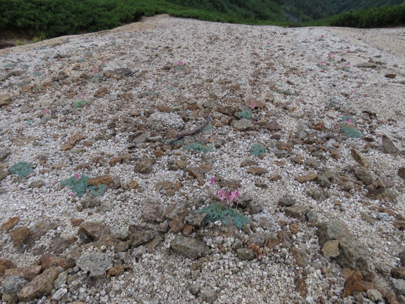 燕岳〜大天井岳〜常念乗越、登山