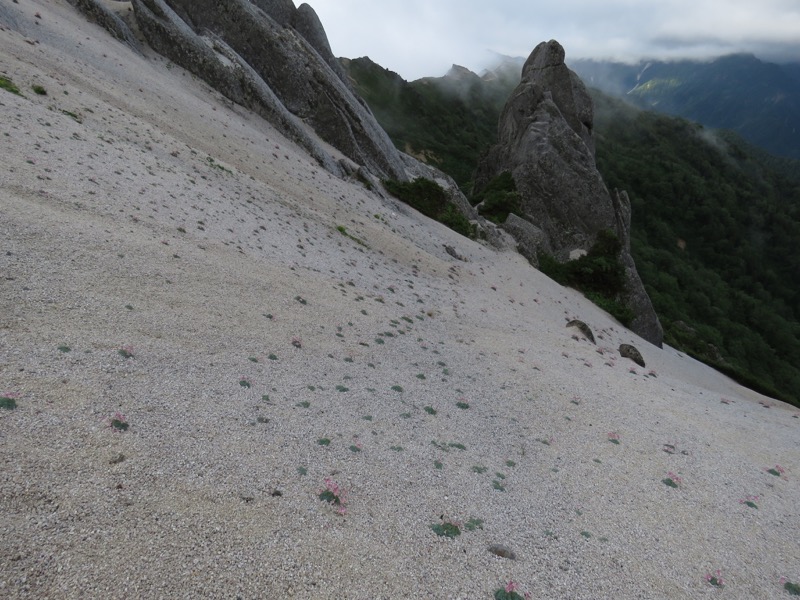 燕岳〜大天井岳〜常念乗越、登山