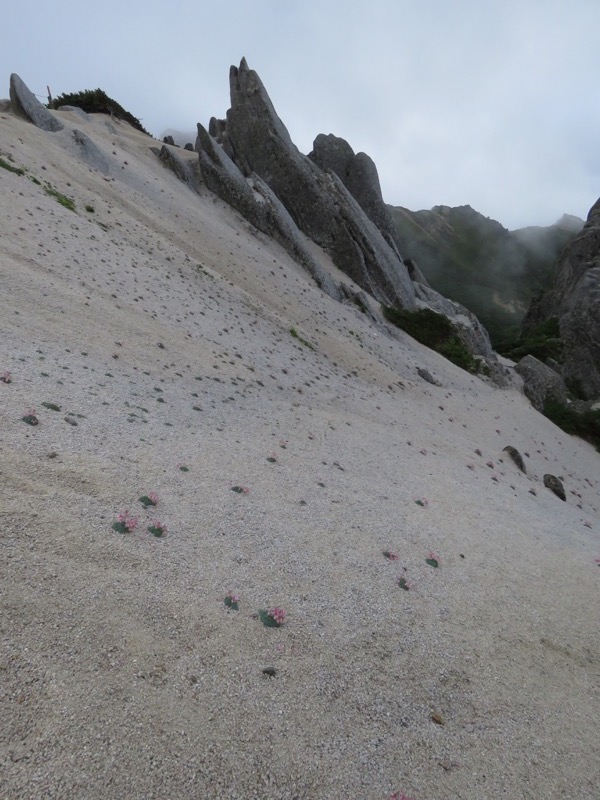 燕岳〜大天井岳〜常念乗越、登山