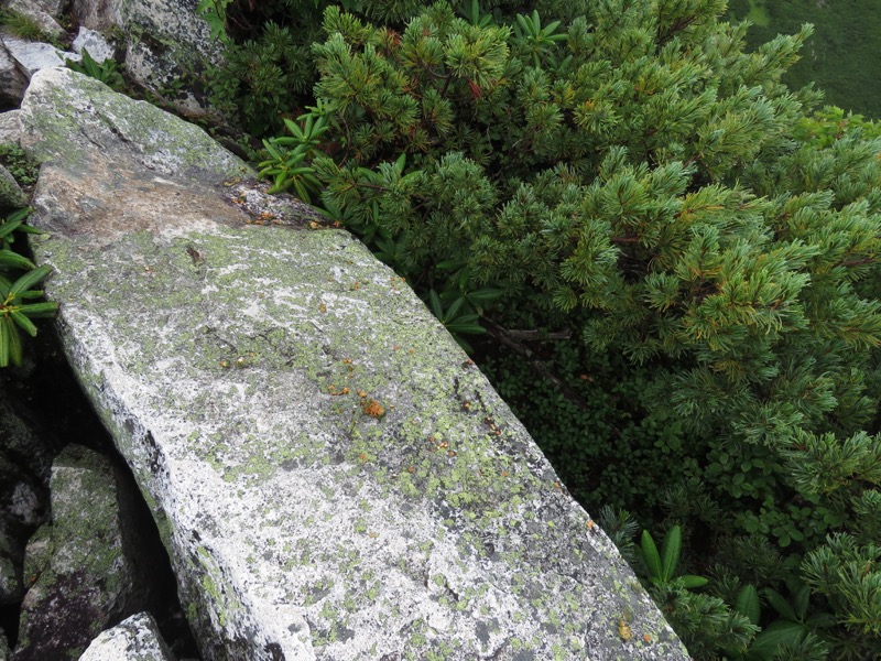 常念岳〜蝶ヶ岳、登山