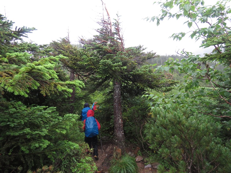 常念岳〜蝶ヶ岳、登山