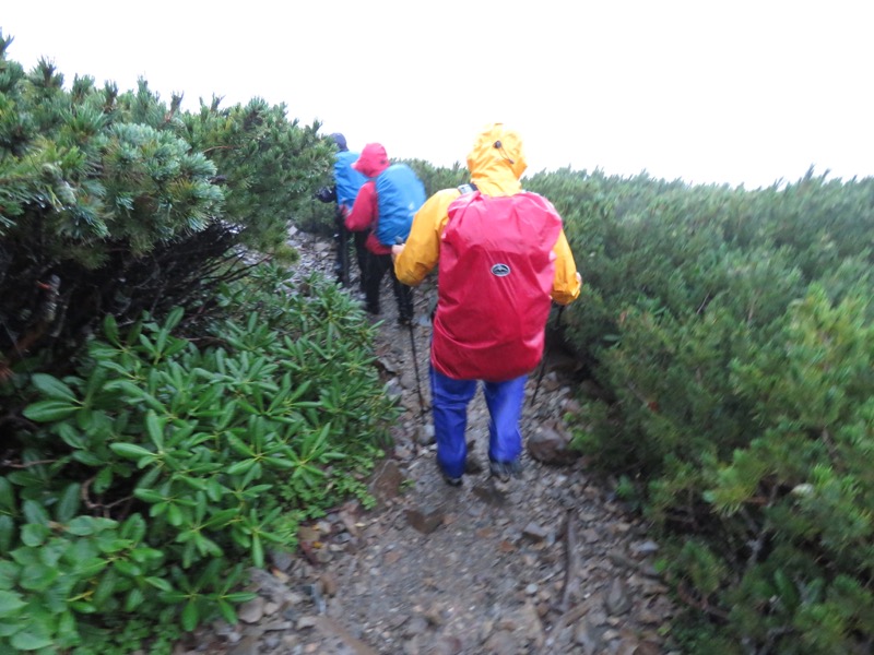 蝶ヶ岳〜徳沢〜上高地、登山