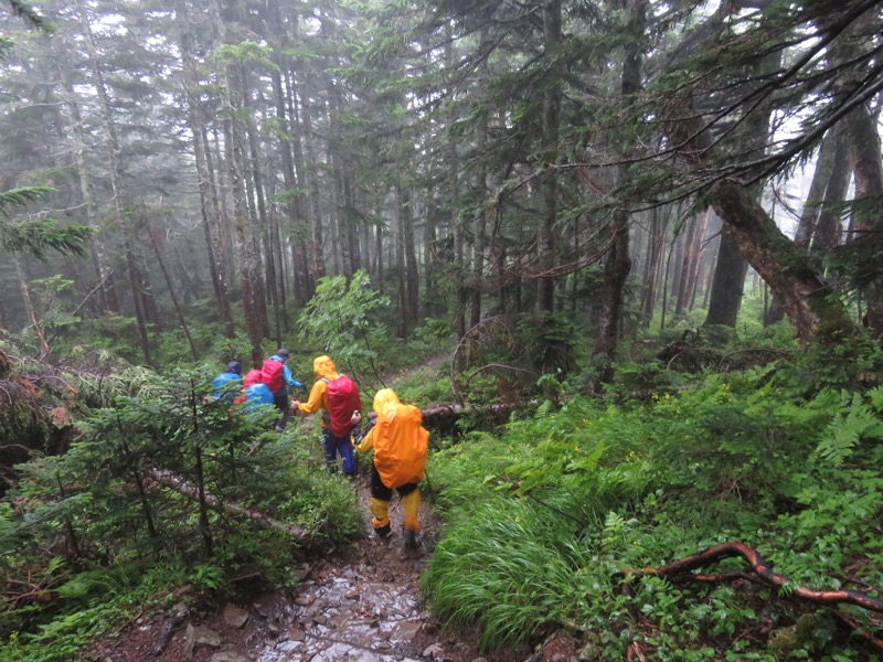 蝶ヶ岳〜徳沢〜上高地、登山