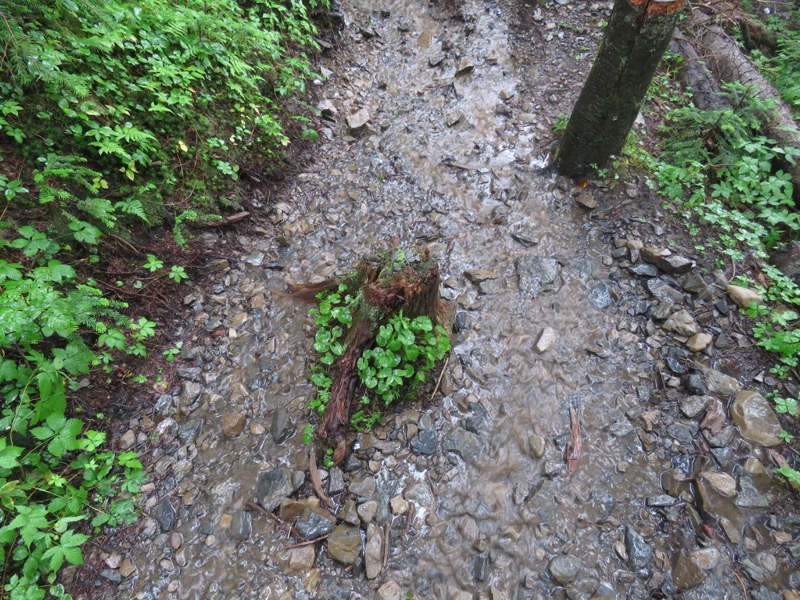 蝶ヶ岳〜徳沢〜上高地、登山