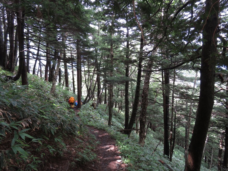 蝶ヶ岳〜徳沢〜上高地、登山