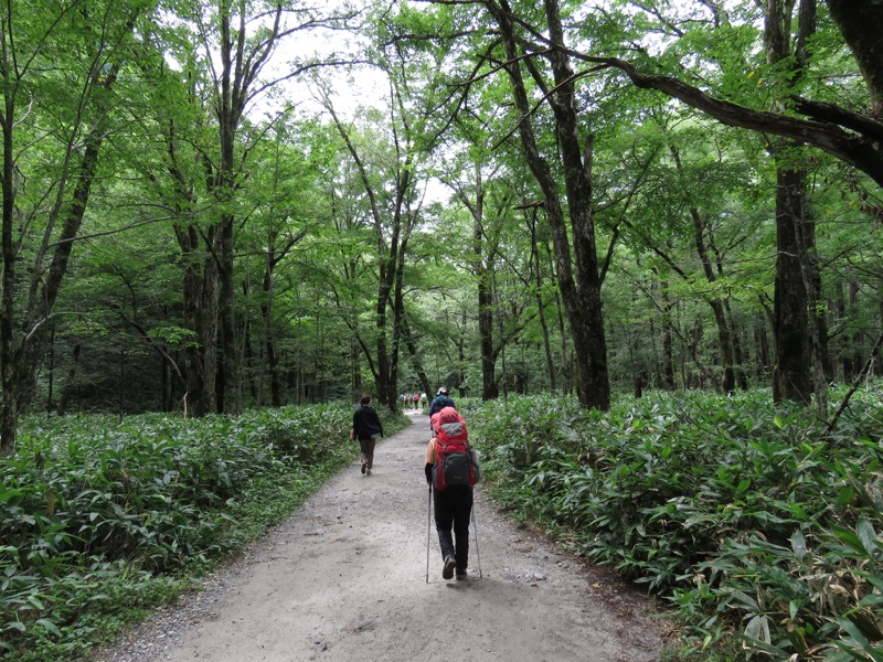 蝶ヶ岳〜徳沢〜上高地、登山