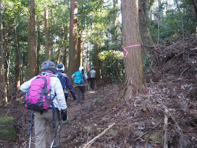 高宕山