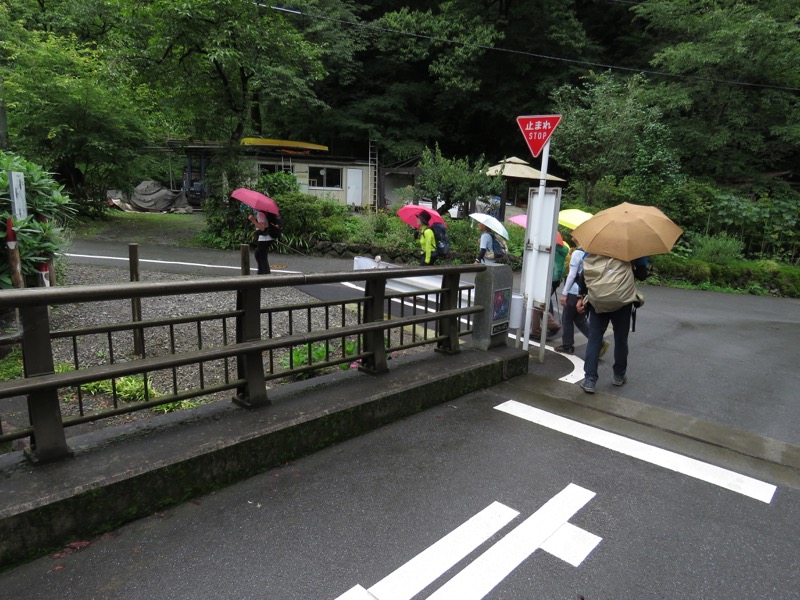 南沢あじさい山