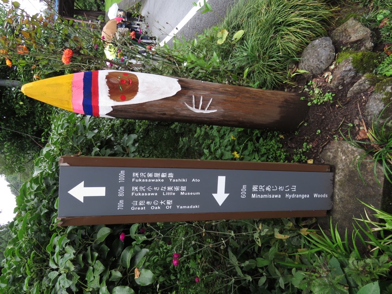 南沢あじさい山