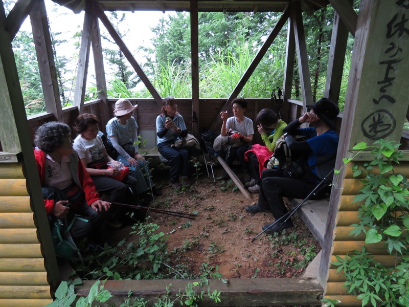 南沢あじさい山