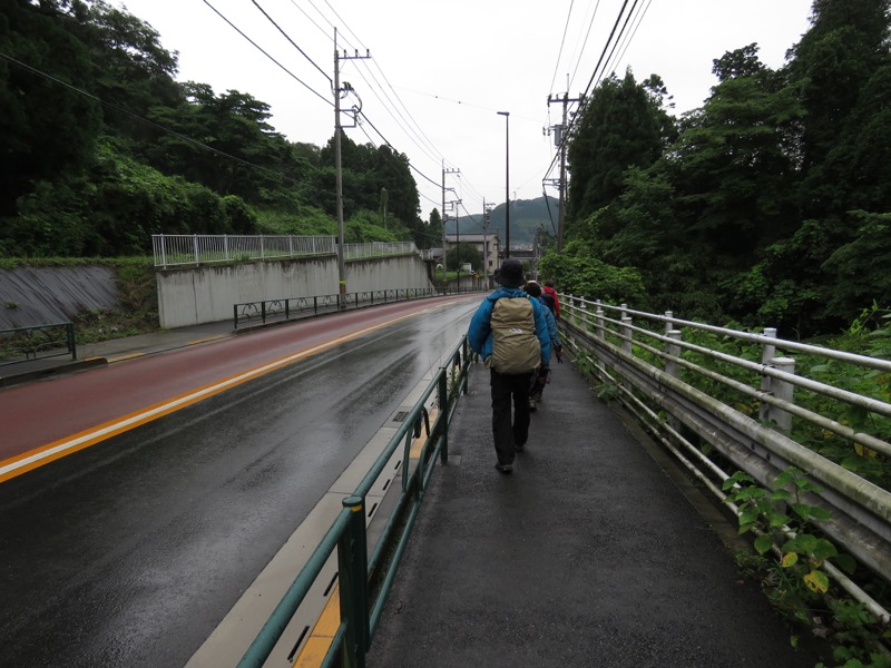 南沢あじさい山